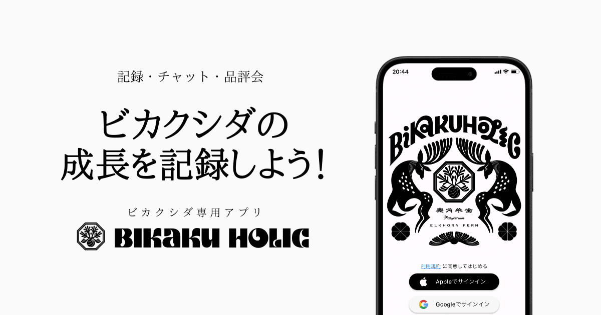 ビカクホリック